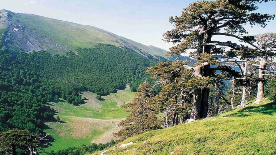 Escursionista dispersa sul Pollino: tratta in salvo dal Soccorso alpino
