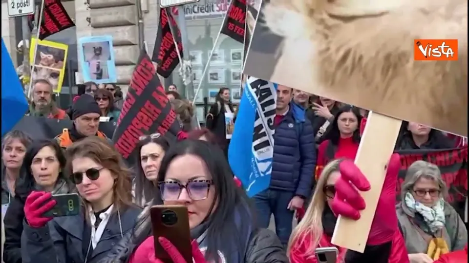 "Pene più severe per chi commette violenza sugli animali", la manifestazione a Roma