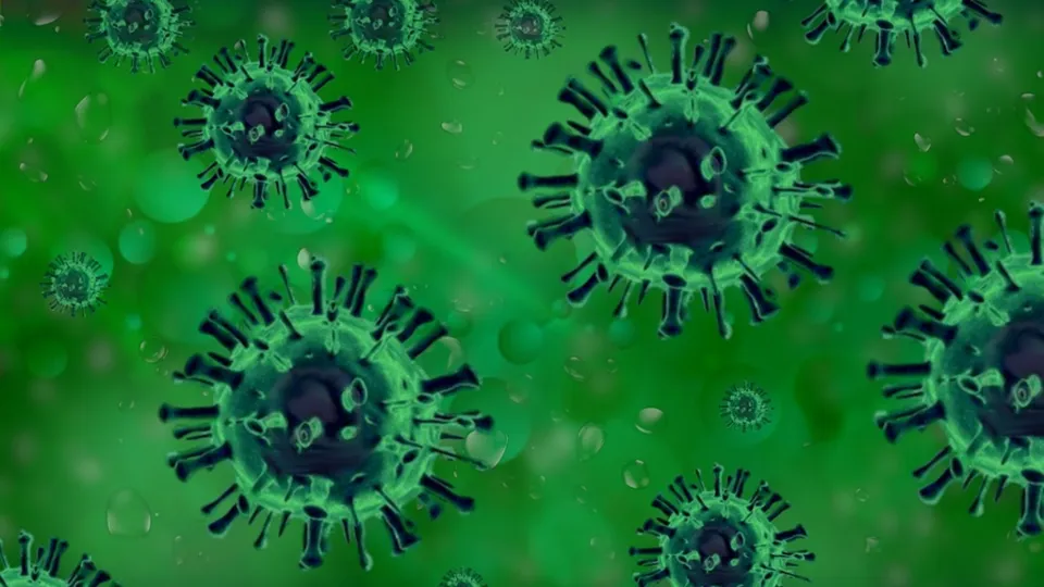 Coronavirus, in Calabria 349 nuovi casi positivi e nessun decesso: il bollettino della Regione del 25 agosto