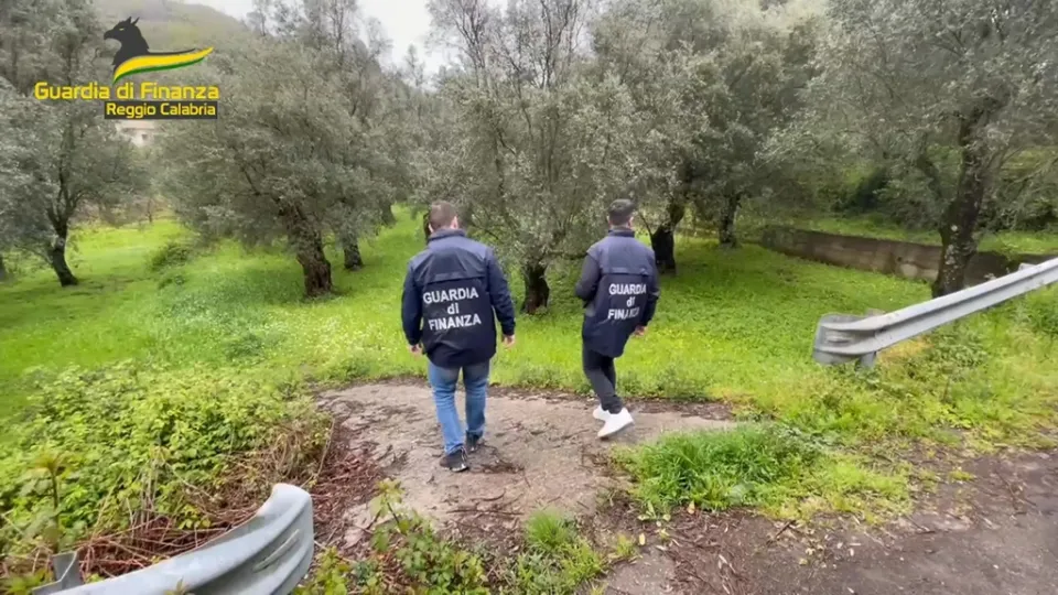 Fondi europei per giovani agricoltori calabresi, due su tre irregolari: revocati finanziamenti per 1 milione (VIDEO)
