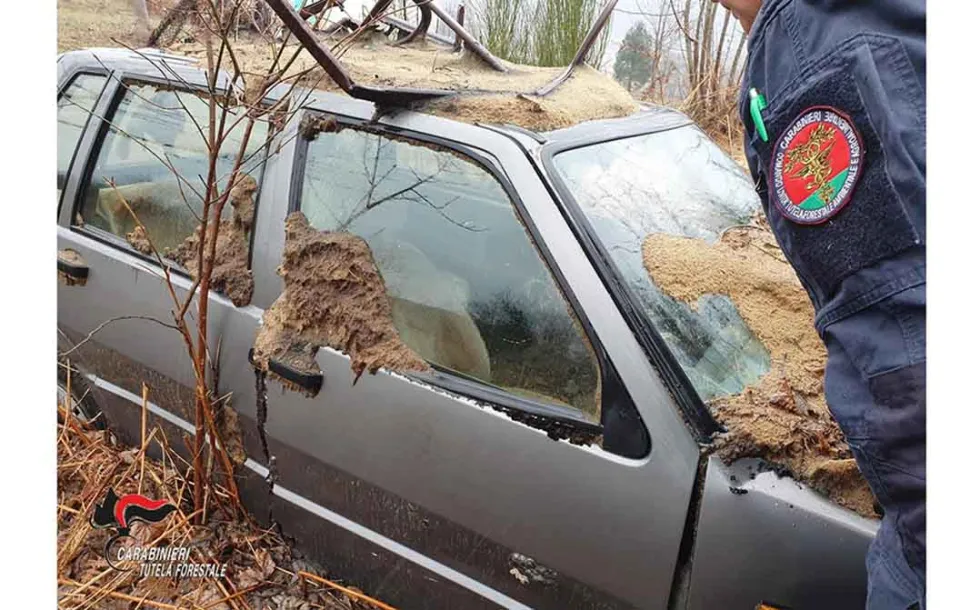 Auto "rottamate" abusivamente nelle campagne: multe a 17 persone nel Vibonese