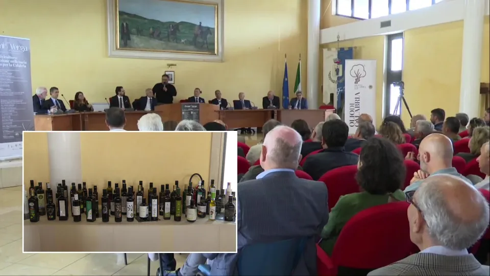 I migliori oli evo all'ottava edizione del "premio Verga"