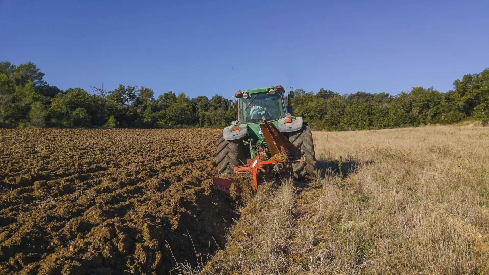 Bioeconomia e sostenibilità, Confeuro rilancia il ruolo dell’innovazione
