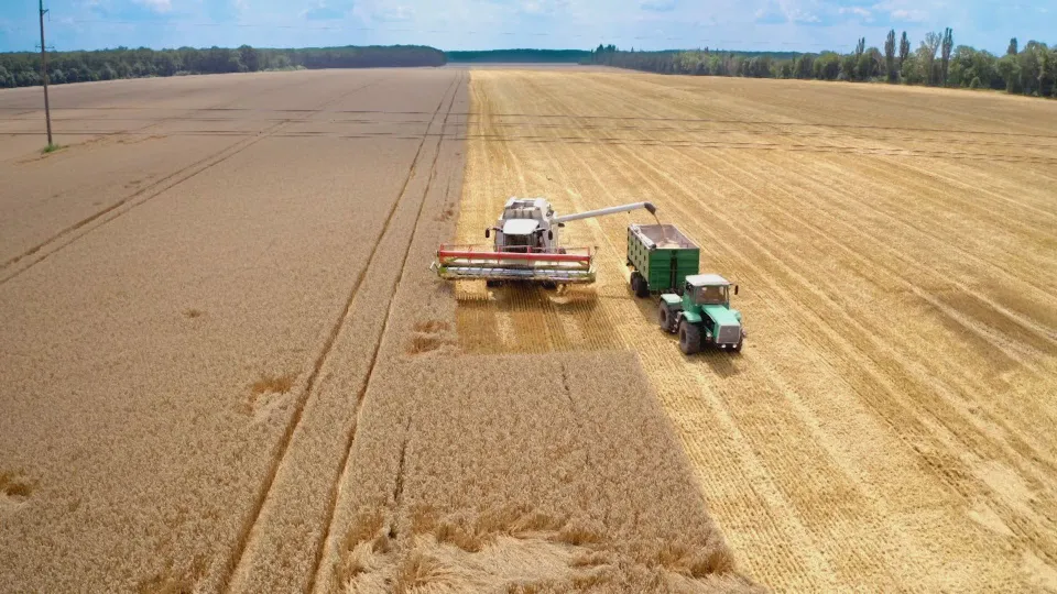 Arcea Calabria, oltre 10 milioni di euro a sostegno di agricoltura e vitivinicoltura