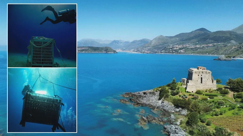 Nasce la prima cantina subacquea calabrese nella baia di San Nicola Arcella