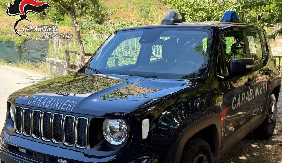 Furto di mezzi comunali nel Reggino, due arresti domiciliari
