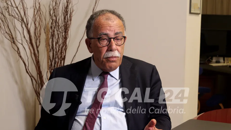 Ruotolo (PD): «Serve un’Europa che da potenza economica diventa attore politico»