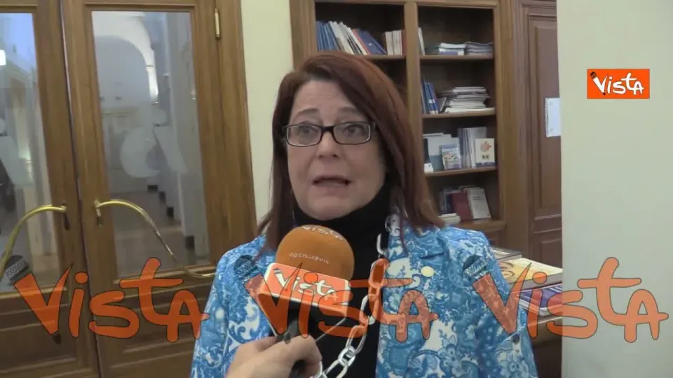 Rosina (Cnoas): "Serve una riforma dell'ordine degli assistenti sociali"