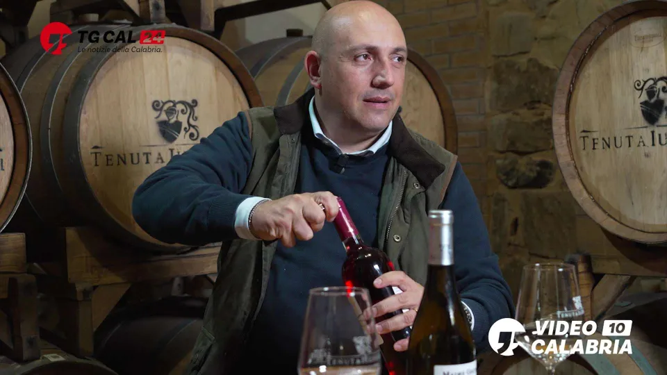 Vino, Tenuta Iuzzolini: «Strepitosa l'annata 2025»