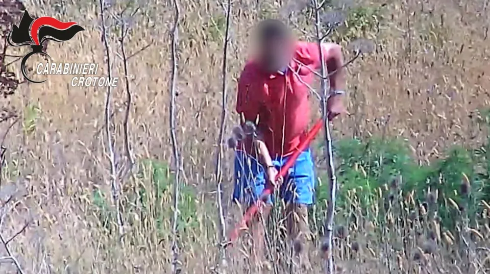 Coltivavano marijuana, arrestate 6 persone a Crotone: scoperti grazie alle immagini di drone e telecamera