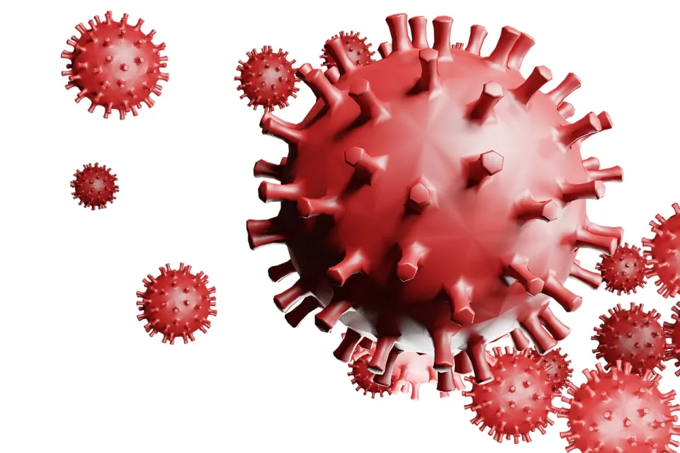 Coronavirus, in Calabria 297 nuovi positivi e 7 decessi: il bollettino della Regione