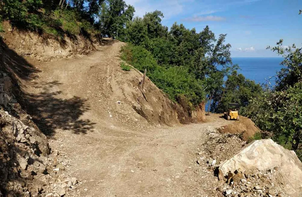 Allargano una pista boschiva deturpando un'area protetta: due denunce a Scilla