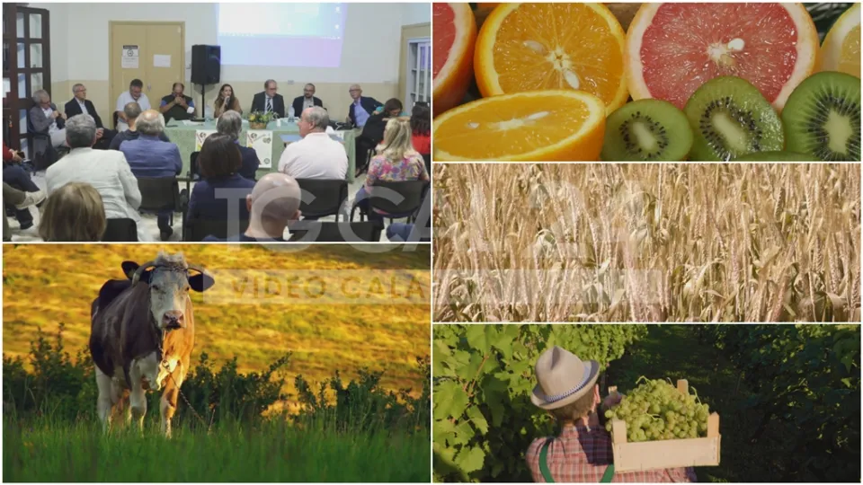 VIDEO | Agricoltura ed innovazione: a Caulonia convegno tra istituzioni e addetti ai lavori