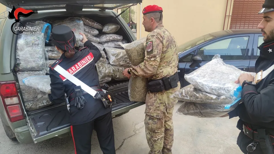 Aveva oltre 180 kg di marijuana, armi e munizioni: arrestato pluripregiudicato