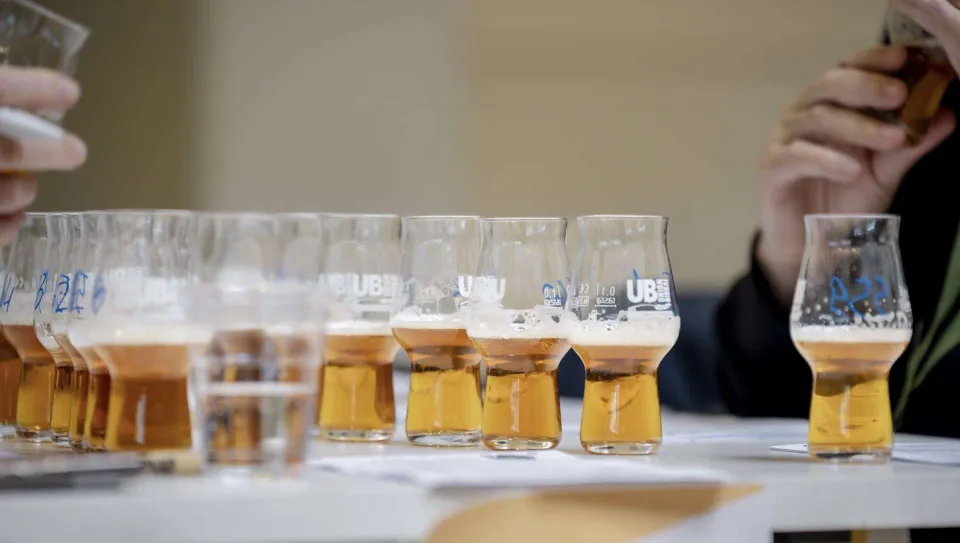 Birra dell’Anno 2026, la Calabria conquista due argenti