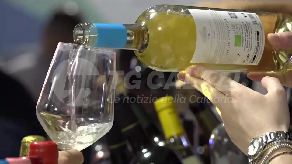 VINÒFORUM | Come valorizzare i vini calabresi