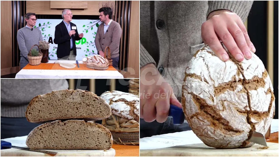 GranCalà: alla ricerca del "re pane"