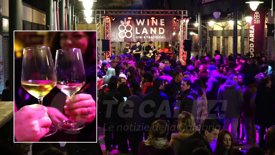 VIDEO | Vino e territorio: partita la terza edizione di "Wineland"