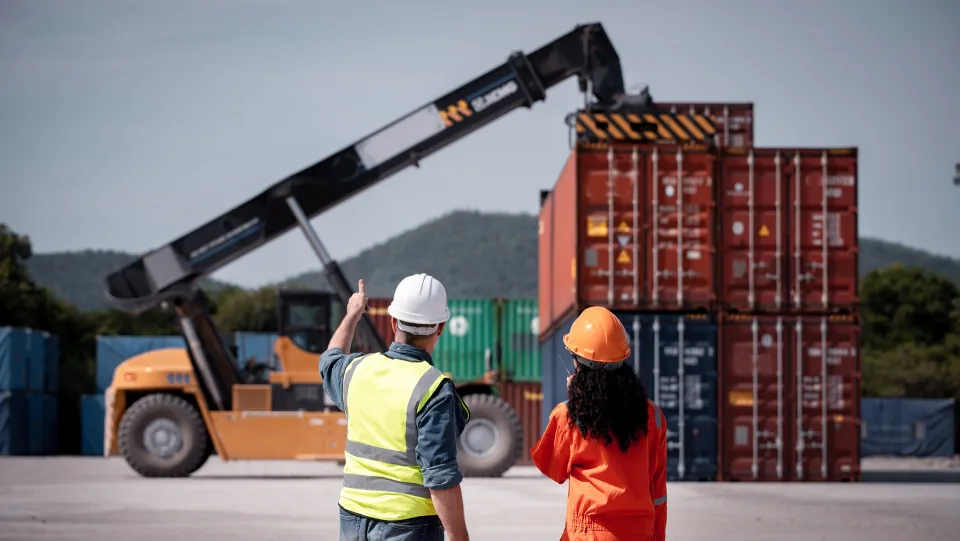 Istat: nel 2024 l'export in Calabria è cresciuto del 9,4%