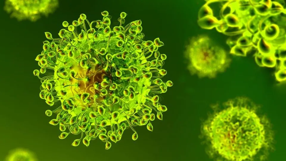 Coronavirus, in Calabria 26 nuovi casi positivi e 2 decessi: il bollettino della Regione