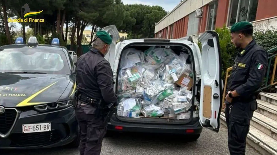Sequestrati 52mila farmaci trasportati in modo non sicuro a Falerna