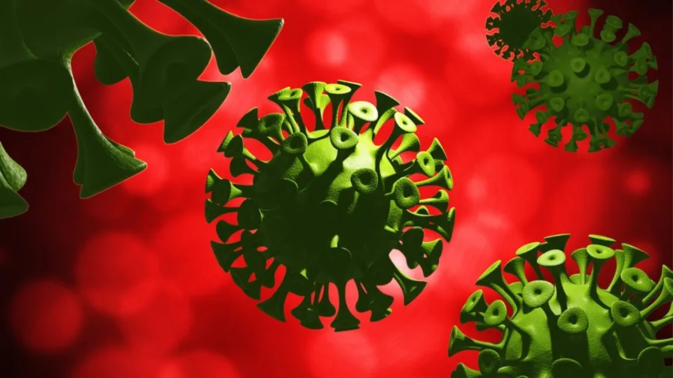Coronavirus, in Calabria 229 nuovi casi positivi e 2 decessi: il bollettino della Regione del 12 settembre