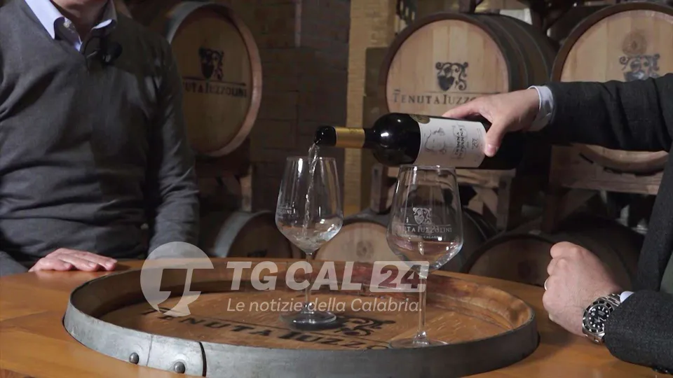 Vino: il miglior bianco d'Italia è ancora il "Donna Giovanna"