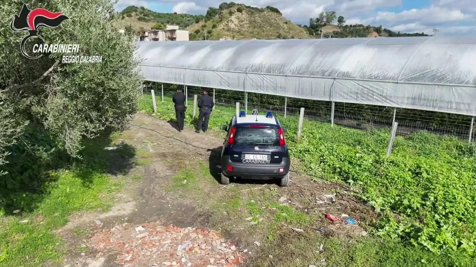 Serre abusive su 35mila metri quadrati a San Luca
