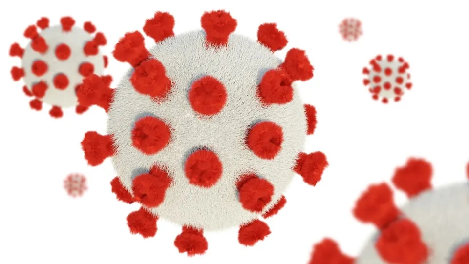 Coronavirus, in Calabria 372 nuovi casi positivi e 1 decesso: il bollettino della Regione del 15 dicembre