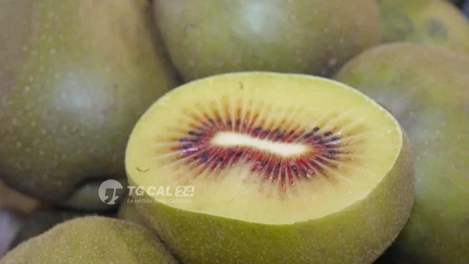 Kiwi rosso di Calabria superstar in Germania