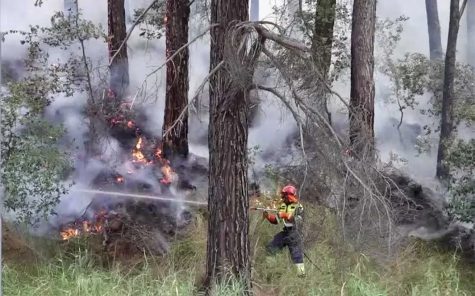 Incendi in Calabria, ancora una vittima delle fiamme: si tratta di un 78enne nel Vibonese