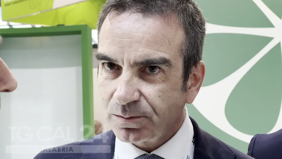 Occhiuto: «Bene le operazioni anti ‘ndrangheta e contro il traffico di migranti»