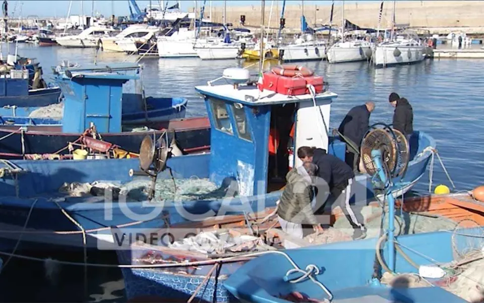 VIDEO | Riparte lo studio sul novellame di sarda. L'assessore Gallo: "Puntiamo allo sblocco della pesca"