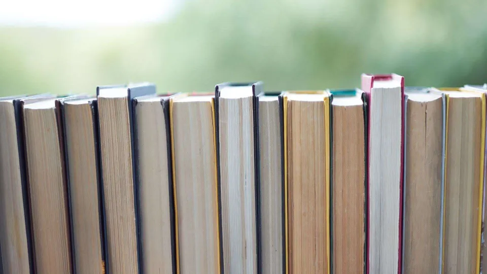 Editoria, il 2025 si chiude in calo: vendite sotto i 100 milioni di copie