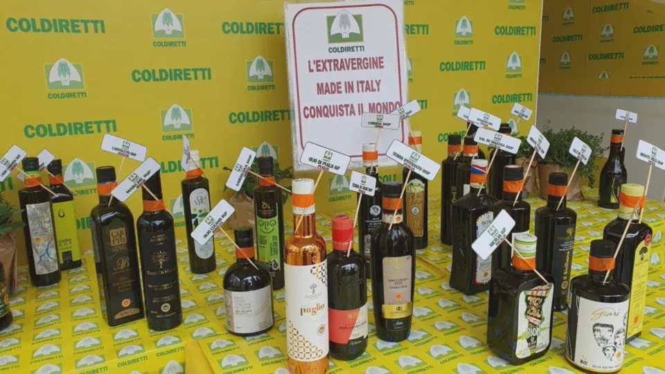 Coldiretti: più controlli per difendere l’olio calabrese
