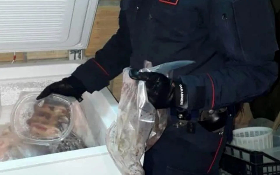 Più di 200 ghiri in congelatore ed altri esemplari in gabbia: tre persone arrestate a Delianuova