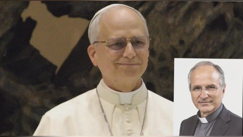 Un anno di Papa Leone XIV, il messaggio della Chiesa calabrese