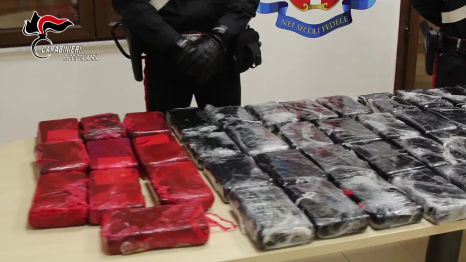 Gioia Tauro, sequestrati 87 kg di cocaina ed arrestato un uomo di 36 anni (VIDEO)