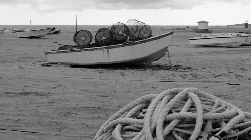 La Calabria ha bisogno di un modello di sviluppo credibile o morirà!