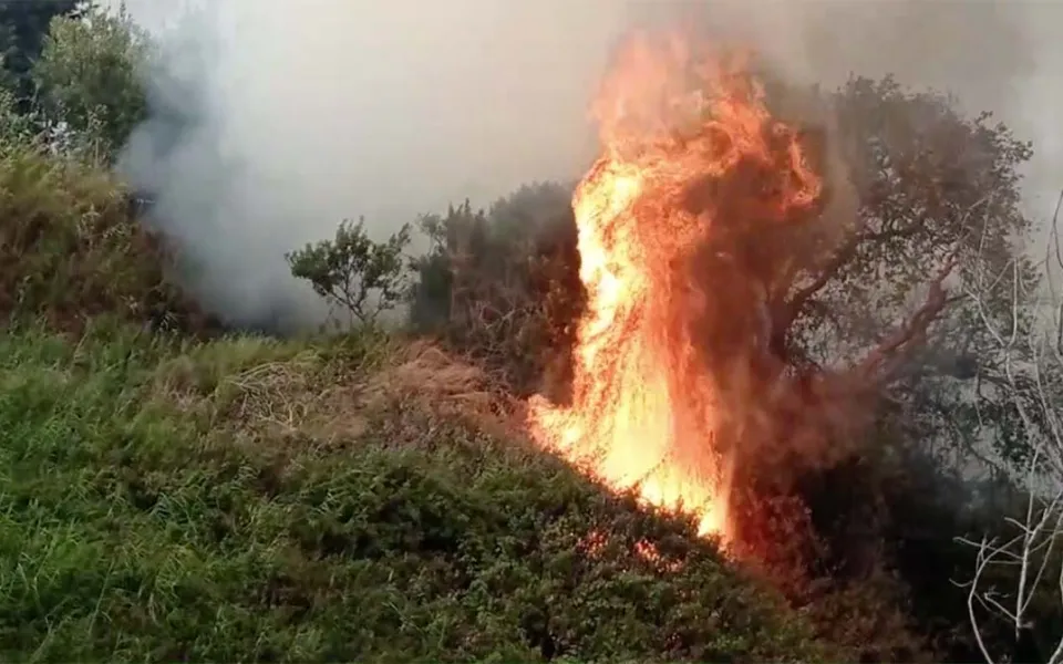 La Cec sull'emergenza incendi: "Si riafferma con la violenza del fuoco il dominio sul territorio"