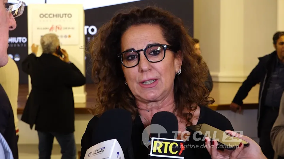 Wanda Ferro: "Per Fratelli d'Italia deleghe adeguate"