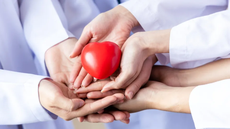 Scilla è il comune calabrese più generoso per la donazione degli organi