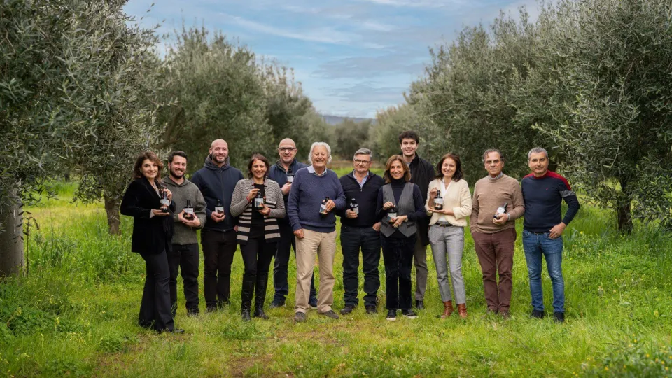 Olio Lametia DOP, appello ai produttori: "Facciamo squadra per crescere"