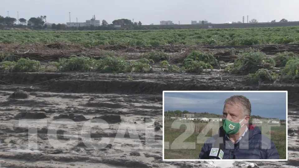 VIDEO | Incalcolabili i danni all'agricoltura nel Crotonese dopo l'alluvione del 21 novembre