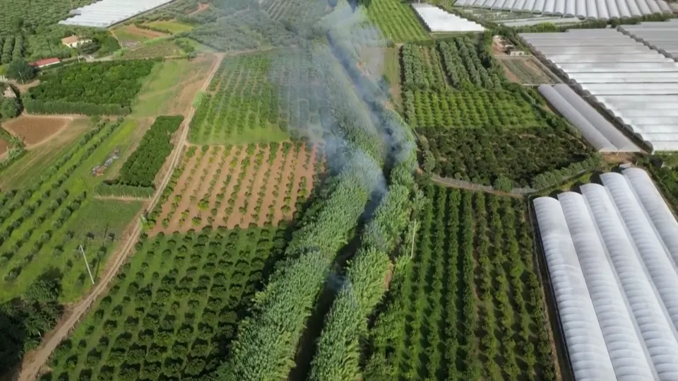 Antincendio, le strategie della Regione per il 2025