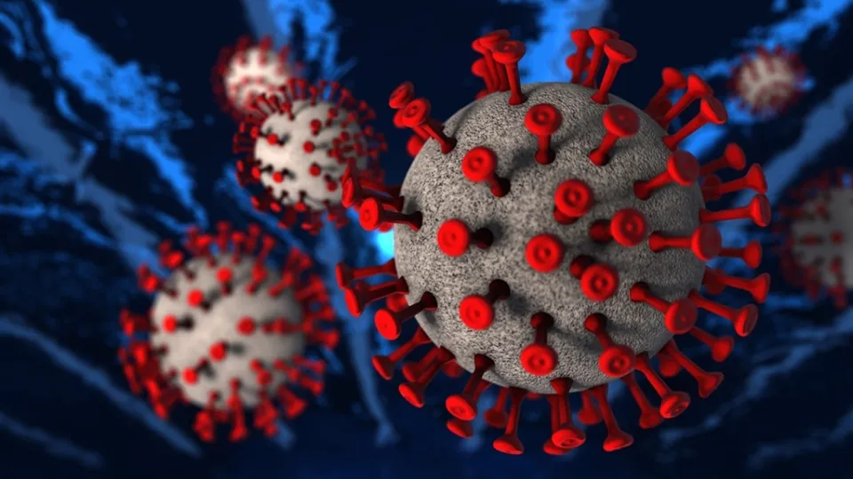 Coronavirus, in Calabria 250 nuovi casi positivi e 2 decessi: il bollettino della Regione del 15 agosto