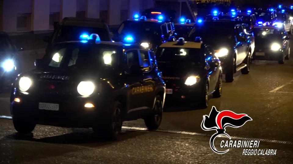 Associazione a delinquere e traffico di droga, operazione nel Reggino: nove arresti (VIDEO)