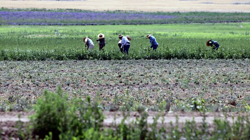 Contrasto al lavoro nero e immigrazione clandestina: blitz della Polizia
