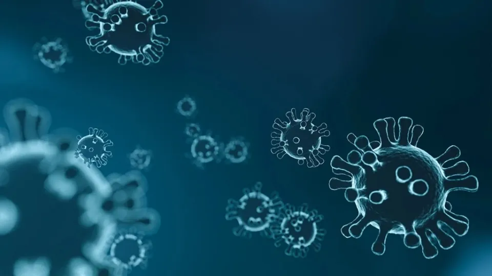 Coronavirus, in Calabria 263 nuovi casi positivi e 1 decesso: il bollettino della Regione