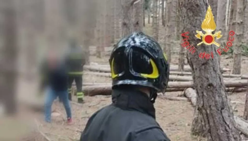 Incidente sul lavoro nel Cosentino: perde la vita un boscaiolo di 33 anni